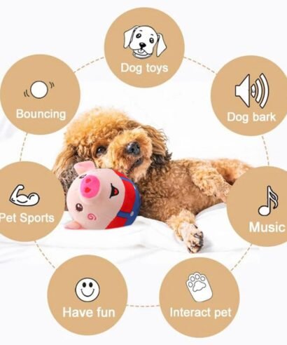 51xyWlJELKL._SL1000_