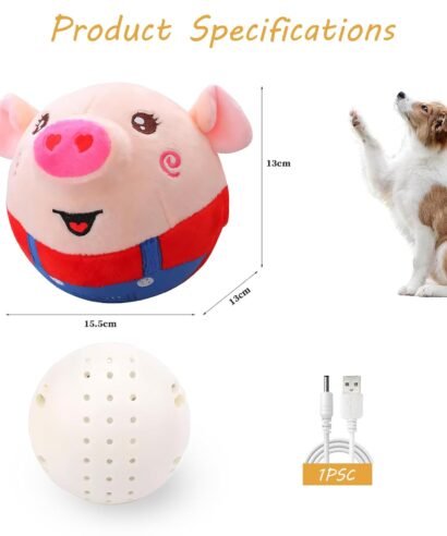 61BuFXomN3L._SL1500_