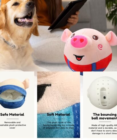 61cKIO7AuaL._SL1000_